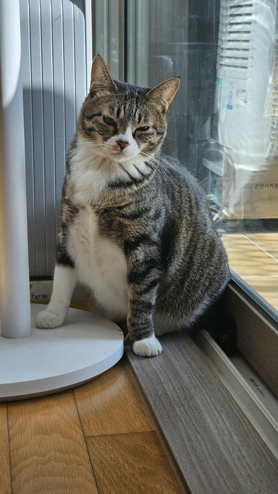 0c953-6619321e00900-62494a0cfd2d4490420032a7b9dad7ee9049aaae.jpg