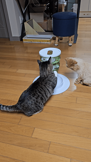 0c953-6623b2859dfad-1180a2fe6fff474129383f0ea488caf632baf2f7.gif