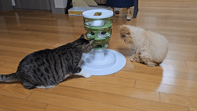 0c953-6623b28b175b4-4ad7411b88ae309090ae65ead19e4270f1655ba0.gif