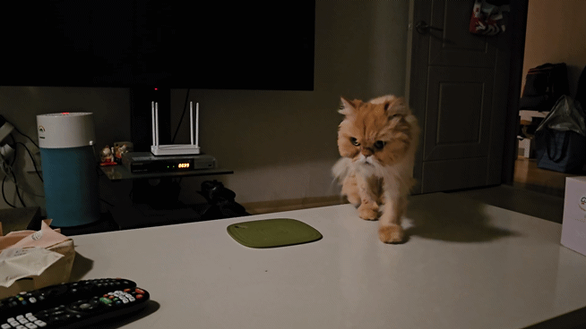 0c953-662a5e1053b30-fc5ed601ddd24057676454d245b113071eb91f43.gif
