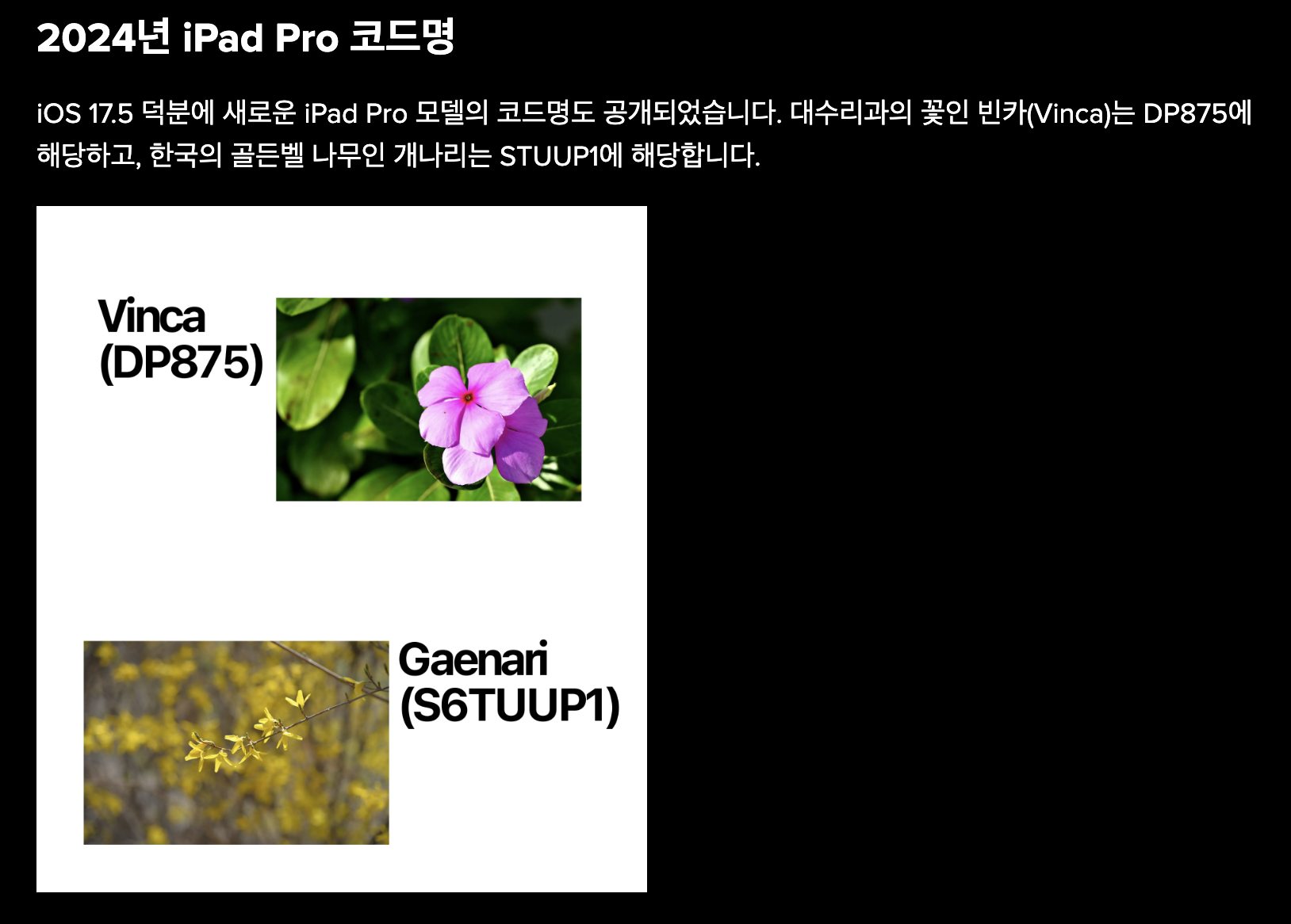 0f749-661c060ea0415-12c9357ecabea751632cbdc0930193b0c41f590b.png