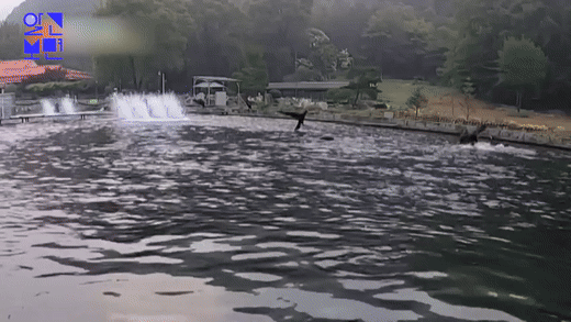 0fb6f-6626af5cb3676-72e975237ca0999aadb943b68fa62ffff3daba19.gif