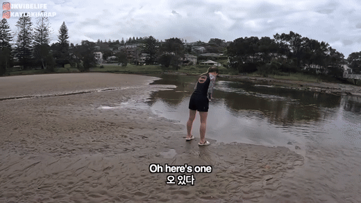 0fb6f-6628a4267baa1-2046b07ad8e4d8ea8d205a3284874f37e0d6102e.gif