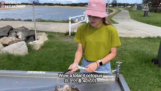 0fb6f-6628b56ff28cf-7efa1ce89a55809c1b5144c79ae6edd9bd1beec9.gif