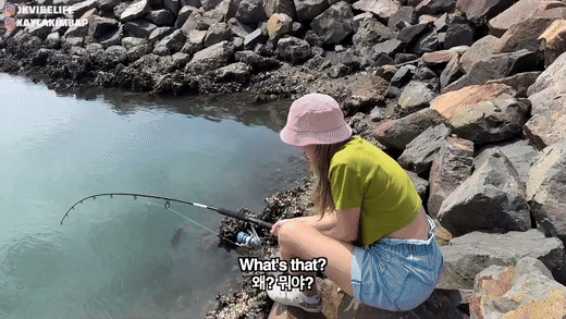 0fb6f-6628cc4de3687-31529f63e401a900bbdfbc6db09a29c216098232.gif