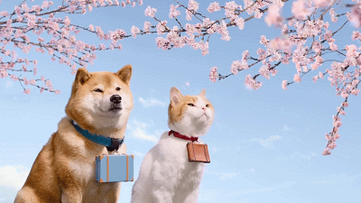 1ae4976d0e2ff21e39dd9ea354fe6945_1711659840_8223.gif