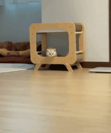 064b9ebc8349246ea9d72339570f13f1_1711551980_6062.gif