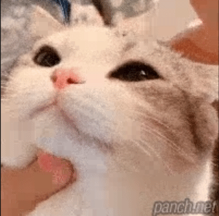 39488e224f38cb6ae7cd21a2916672a9_1711666124_7501.gif