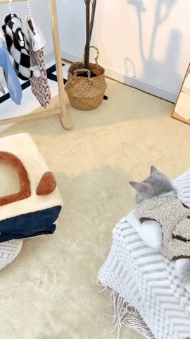 7a7fe749013e4c09060e839b8995dcca_1711785429_1596.gif