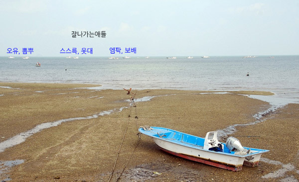노젓.jpg