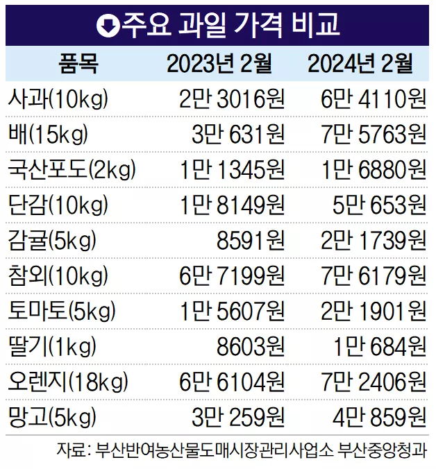 이미지를 불러오는데 실패했습니다.