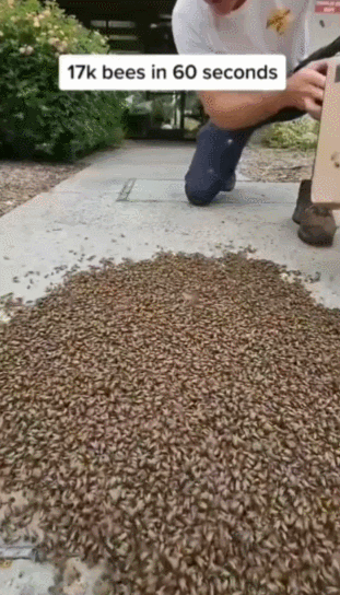 2041143702_eXsctYE6_d35838bcecab1ad3be637dd7d48582f8dffec0c3.gif
