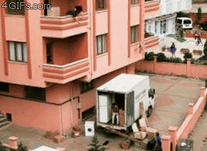 2728293923_05nF6rGe_5c3eef17ca072eb7479743a26220bd7e95812492.gif