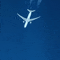 3024493996_nLv32jAX_554726c79113f184f8b632883c90fae65d993a9e.gif