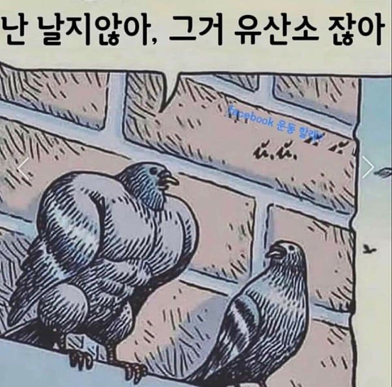 네이버 뿜