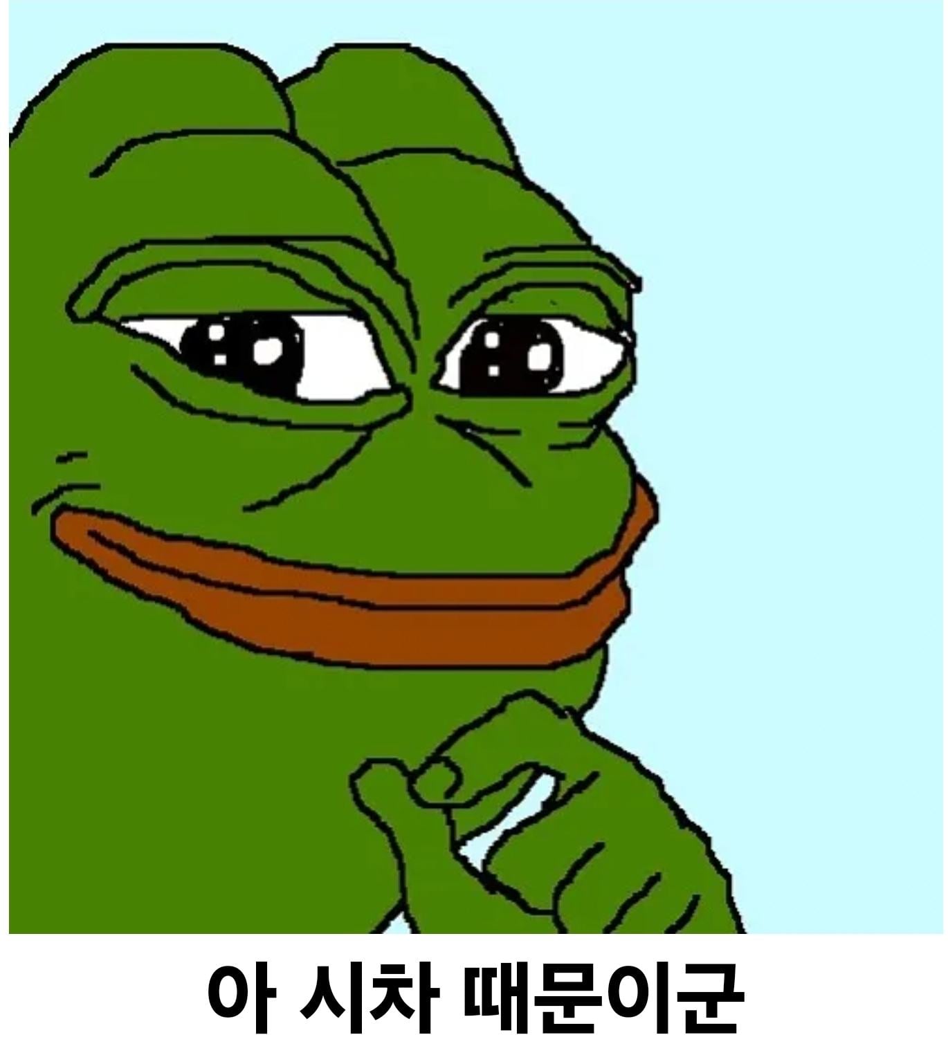 440414327_3351360445162413_5465699508843989391_n.jpg