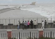 4172372939_6P9sB0pQ_46eb7e099eeaee9948c54b863be3d688f35475d4.gif
