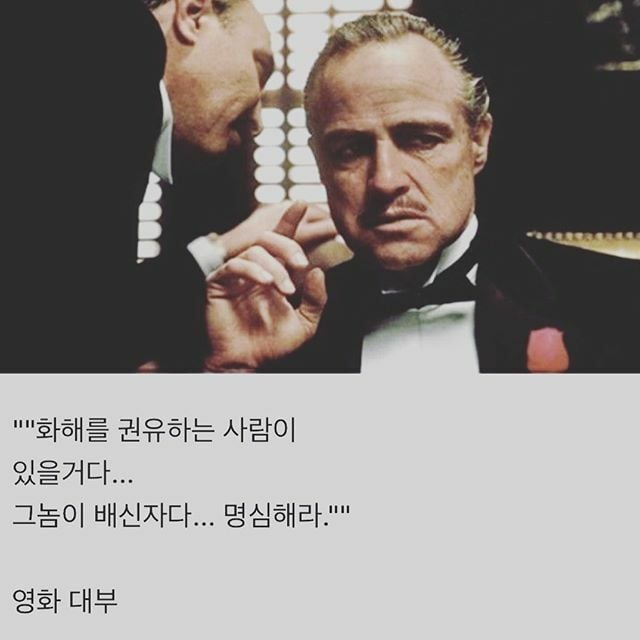 이미지를 불러오는데 실패했습니다.