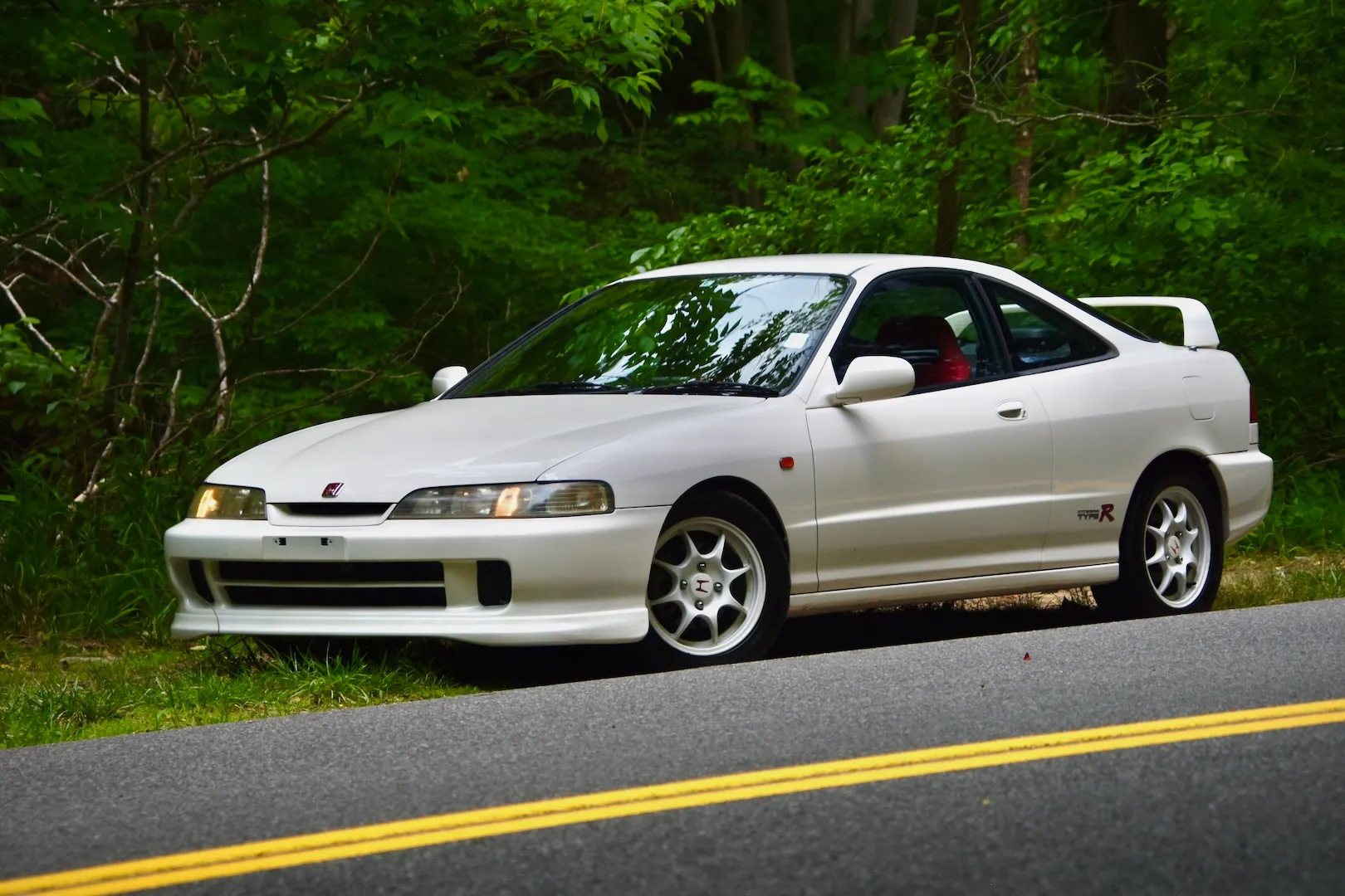 DSC_0565.webp