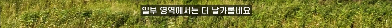 image.png 오토뷰 콜레오스가 별점 5점인 이유