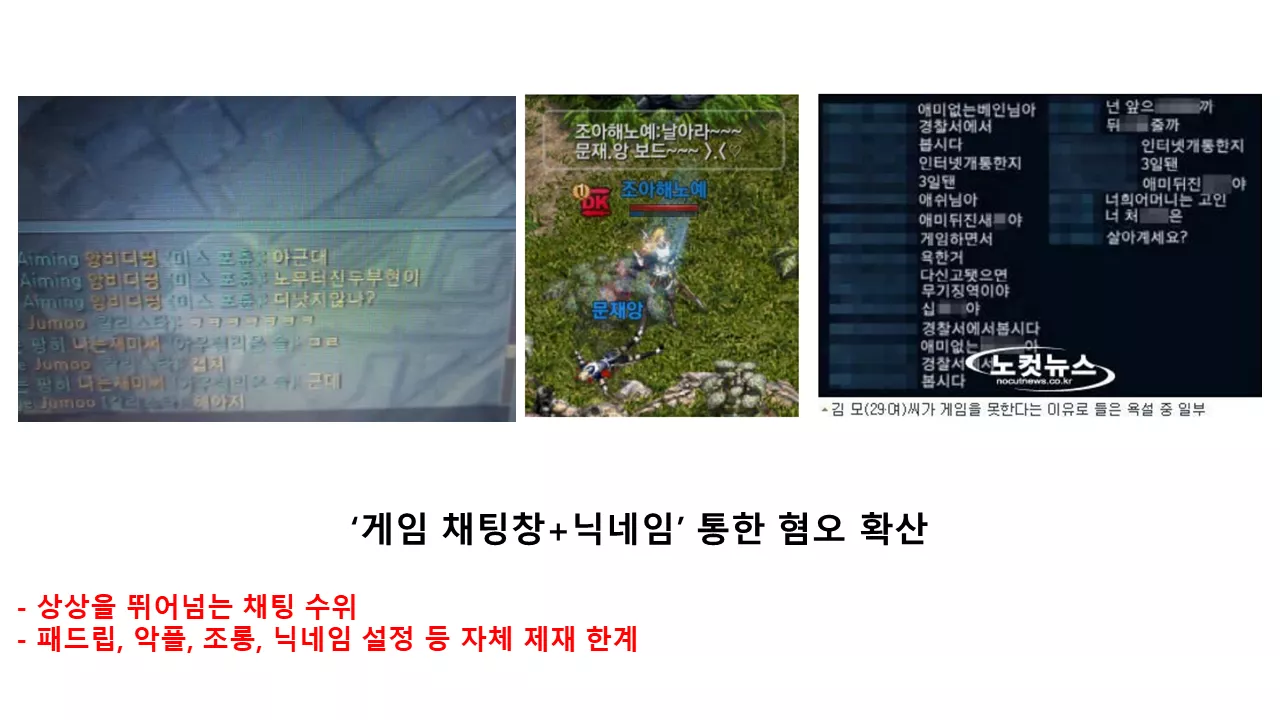 18) 게임채팅과 닉네임을 통한 혐오 확산.png