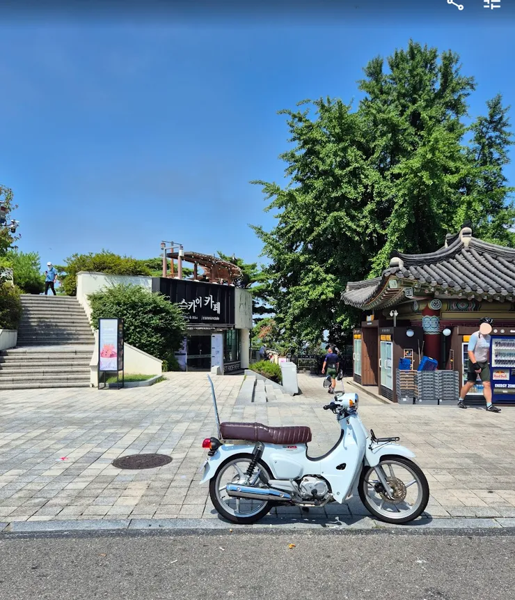 P_029 (1).png