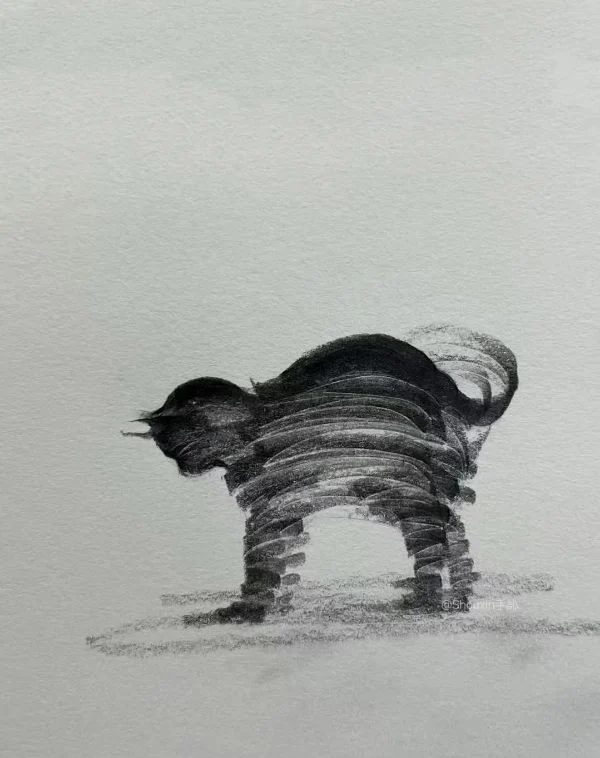 연필선으로 그린 그림들 관련 이미지 4