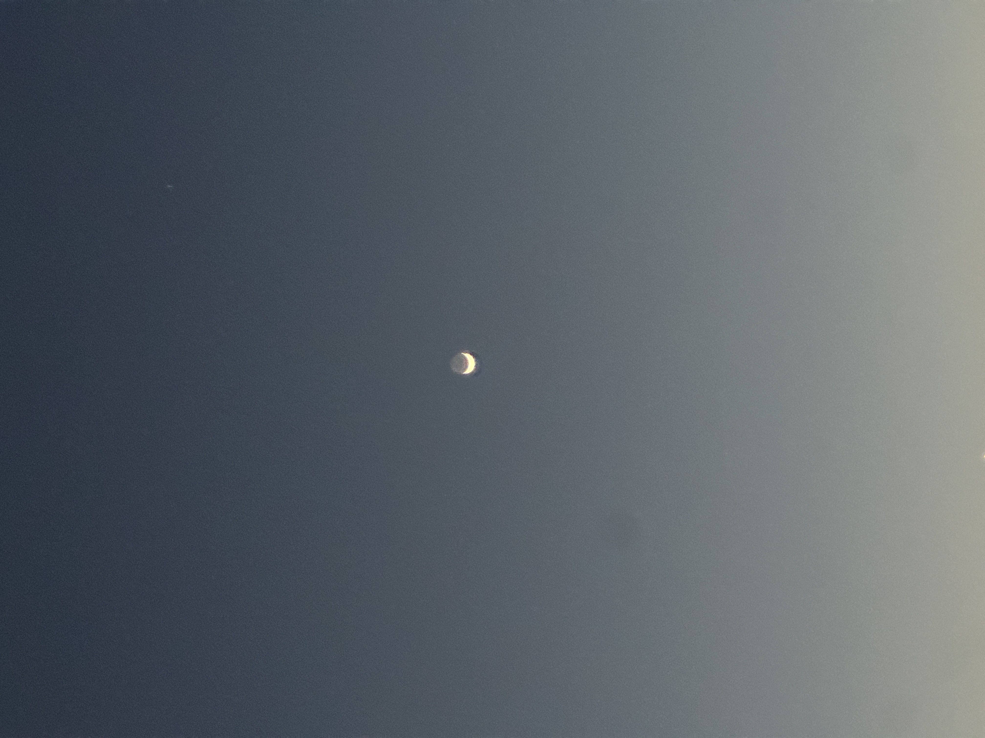 IMG_1178.jpeg