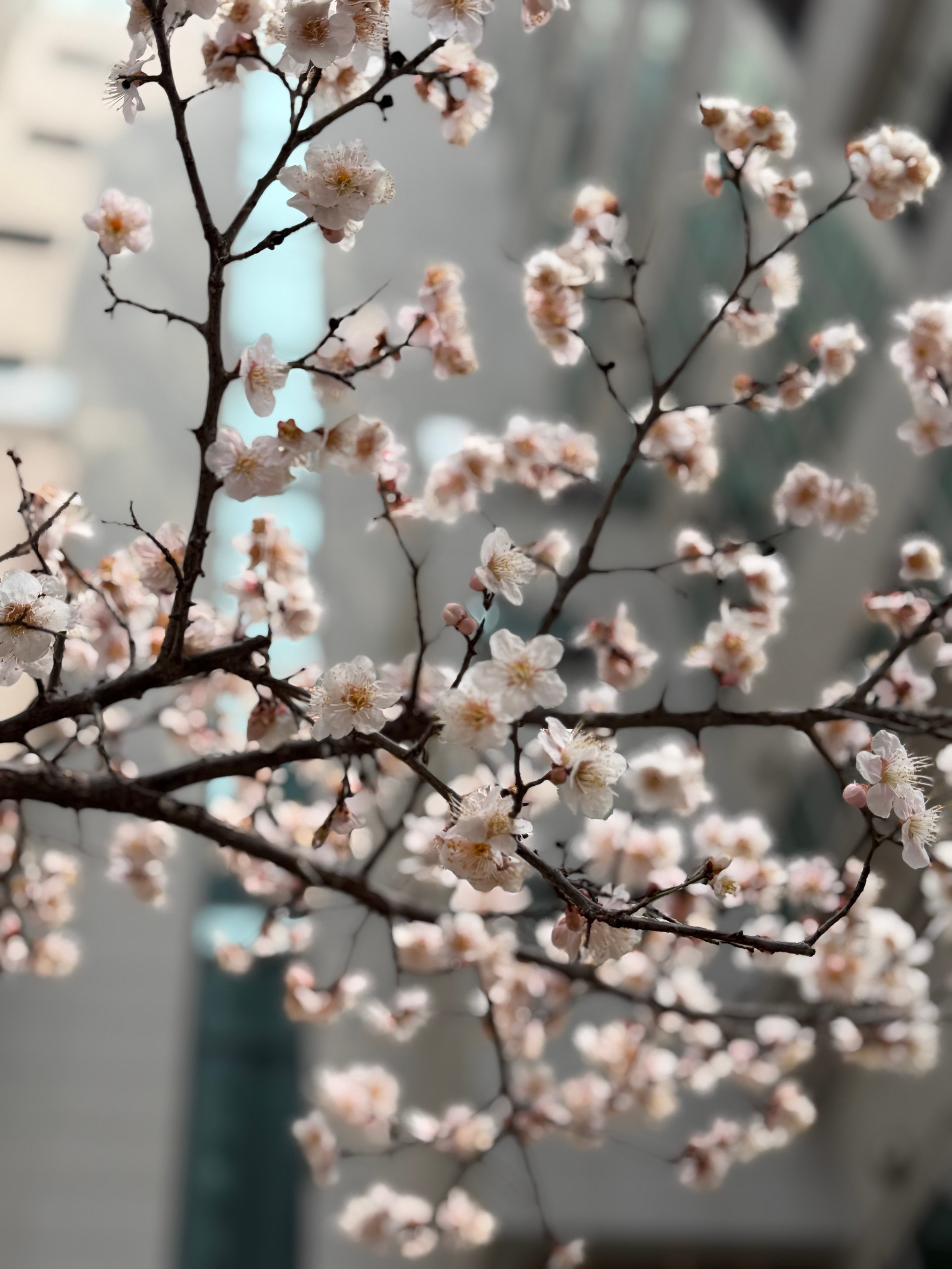 IMG_9720.jpeg