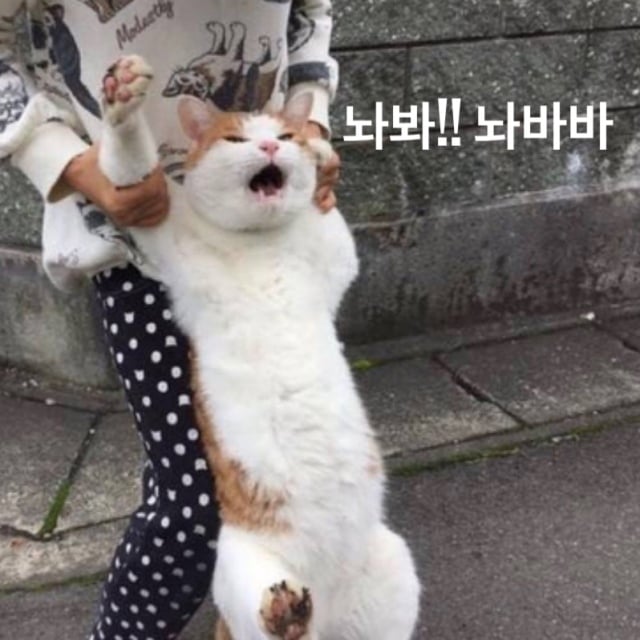 첨부 이미지