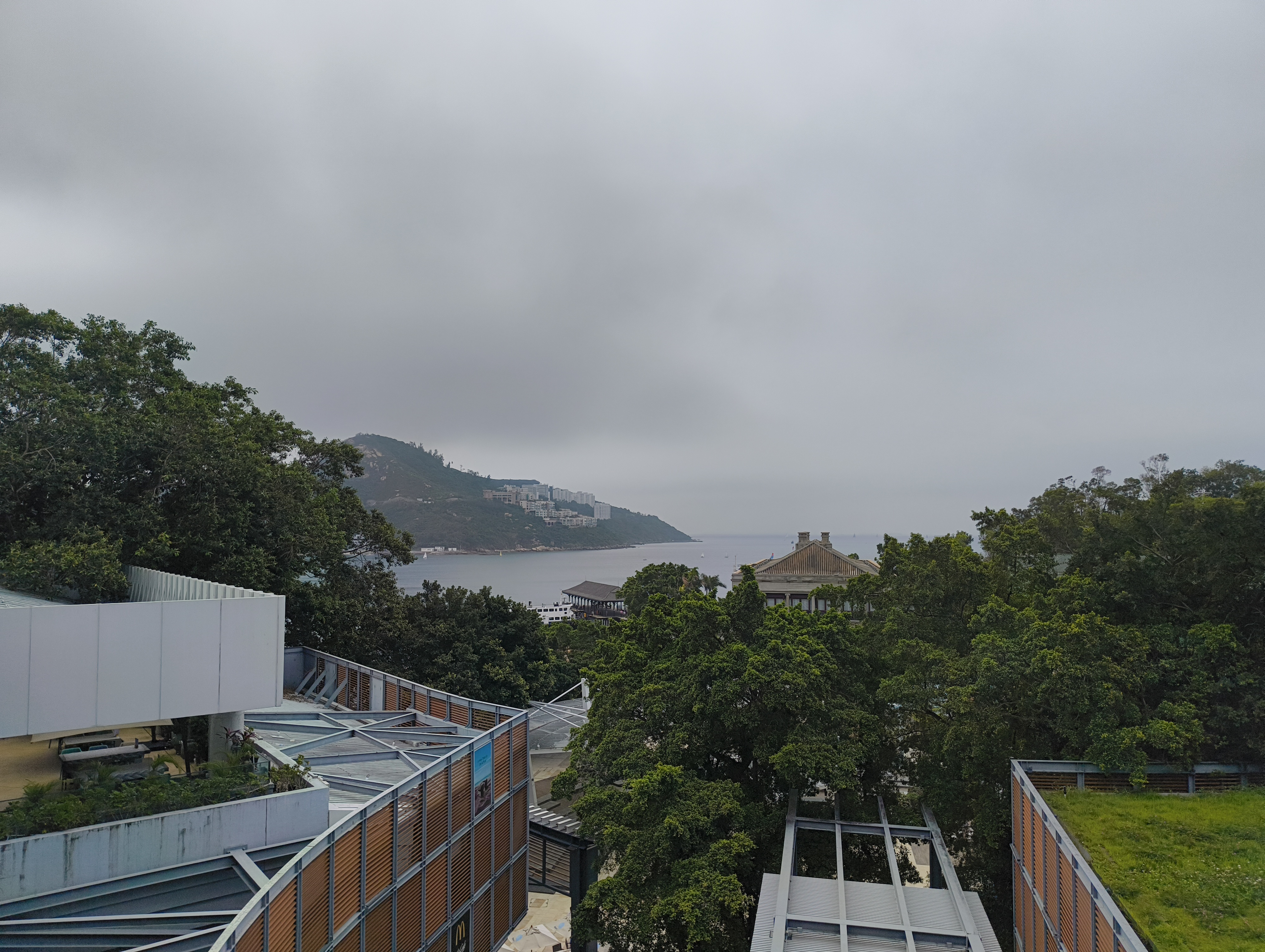 IMG_20260329_122650819.jpg