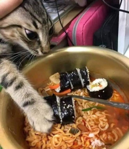 첨부 이미지