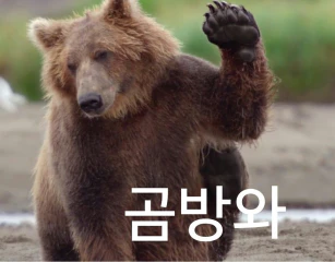 첨부 이미지