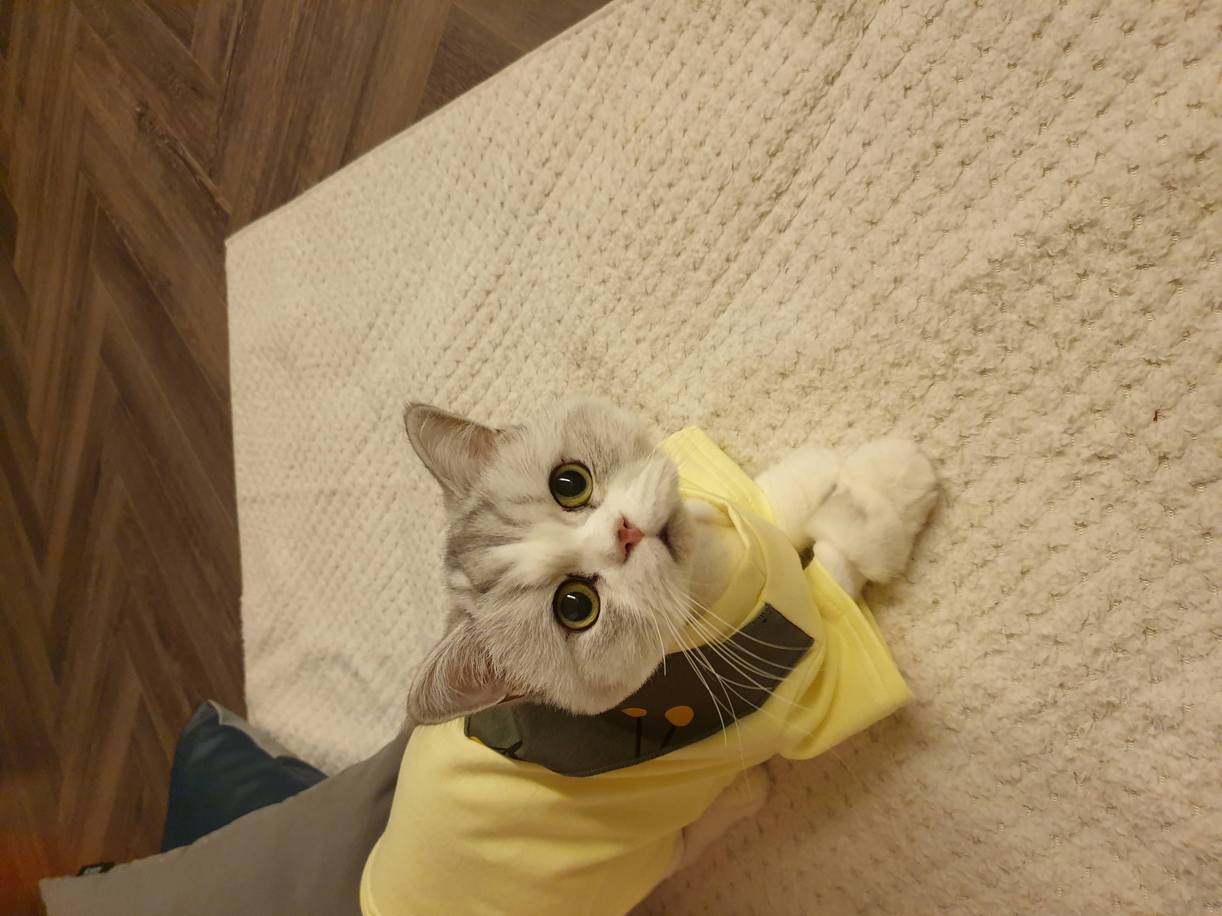 첨부 이미지