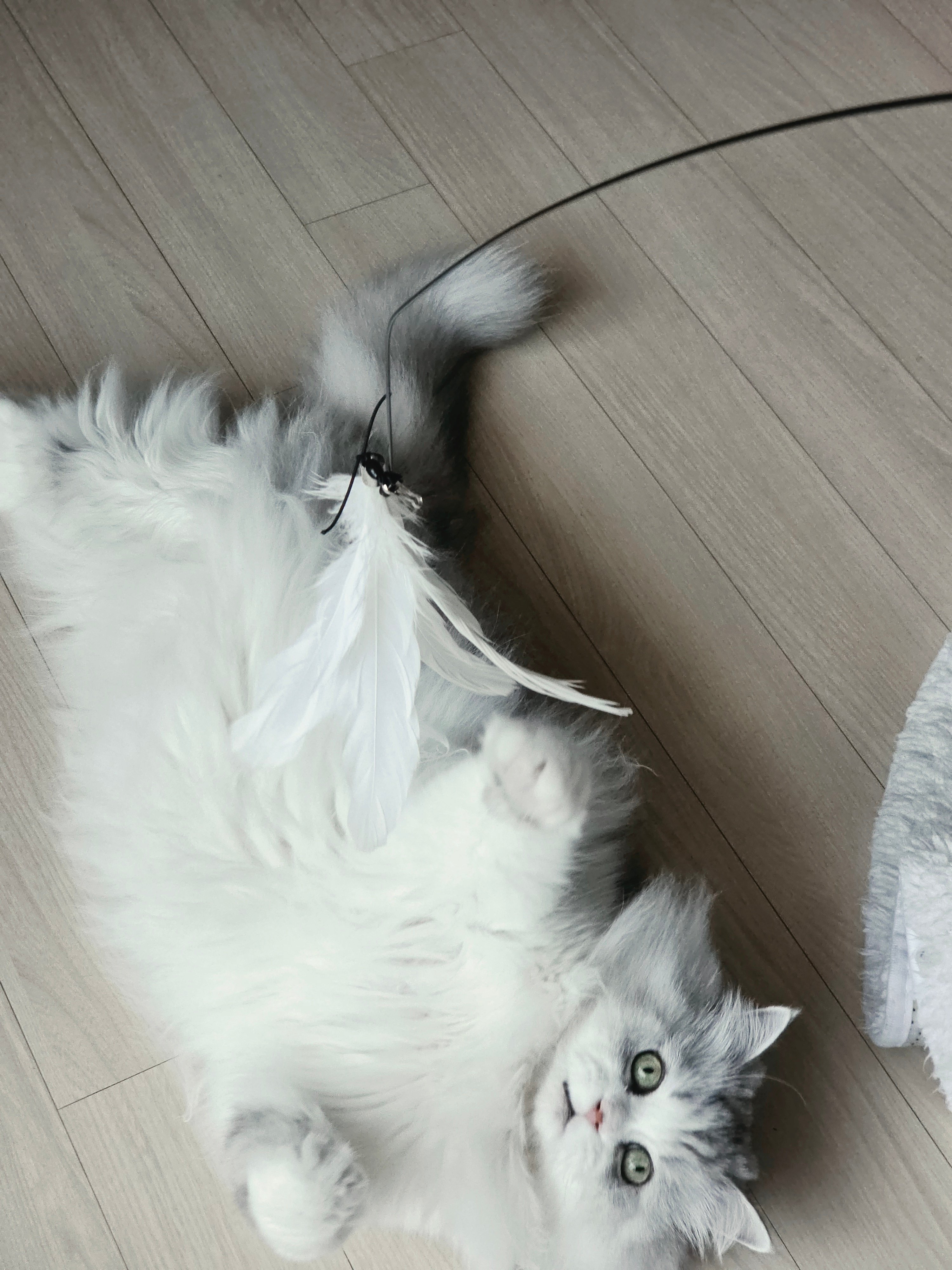 KakaoTalk_20260327_094954664_02.jpg
