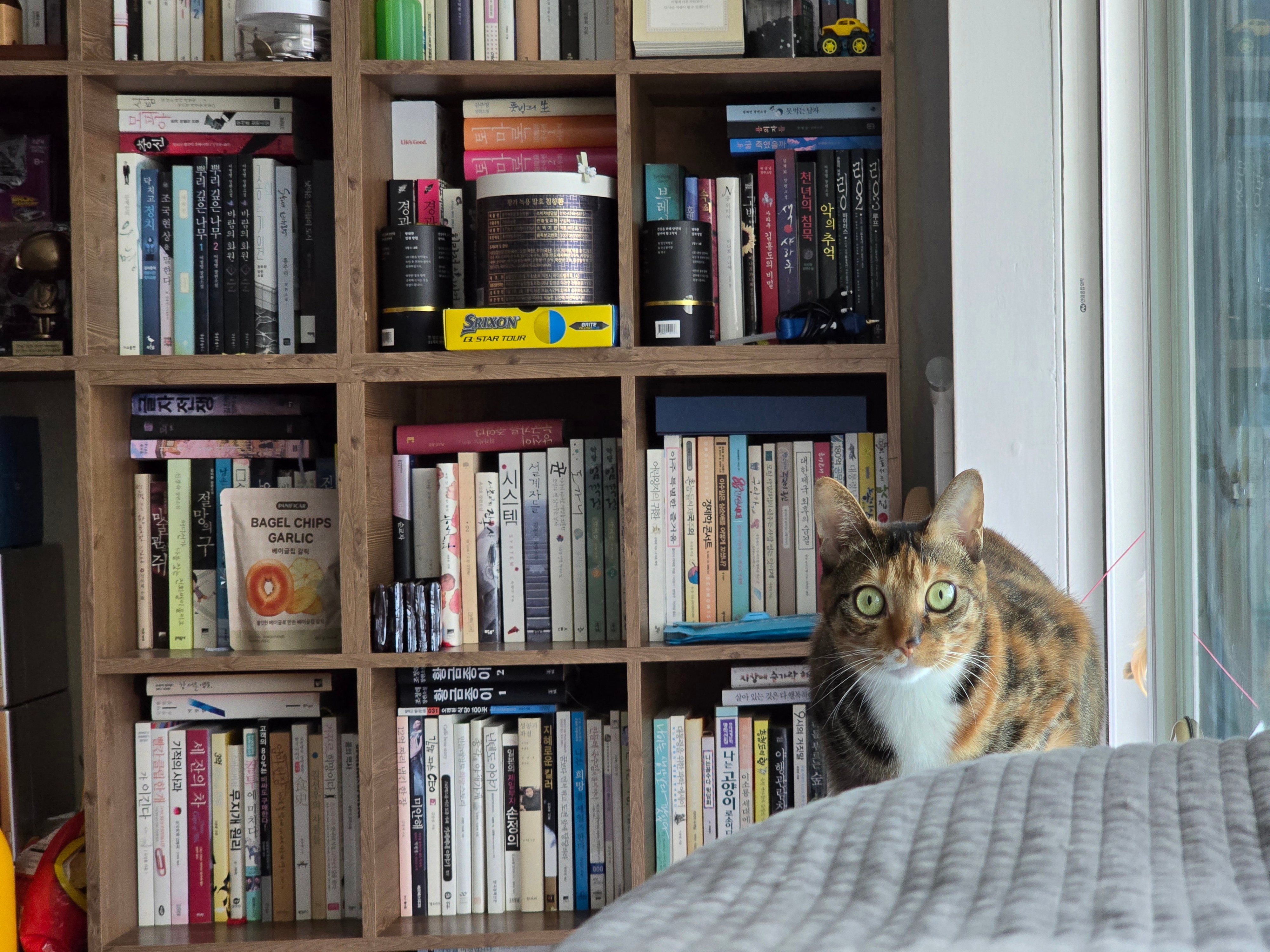 20260329_150947.jpg
