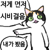 첨부 이미지