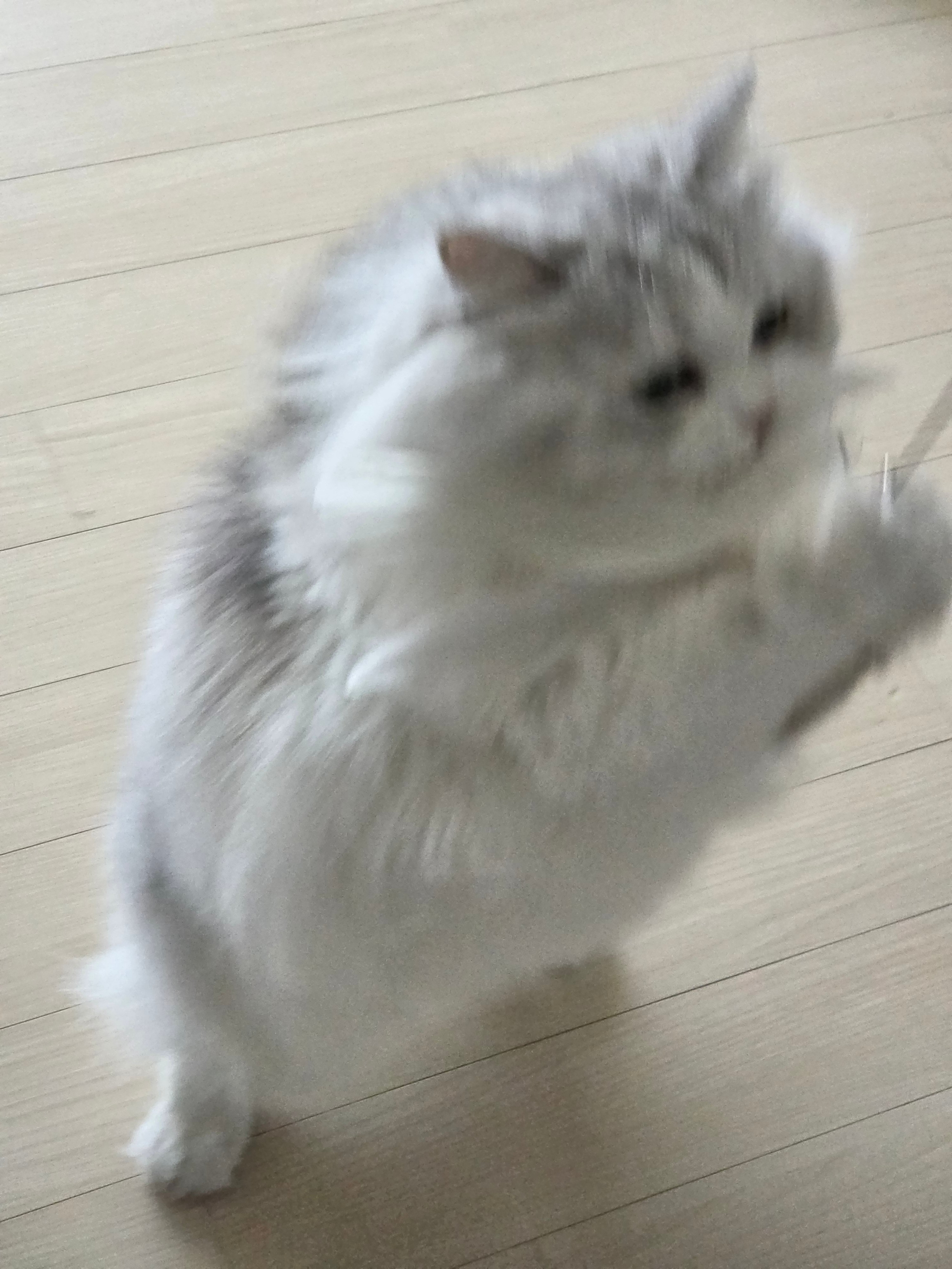 KakaoTalk_20260327_094954664_04.jpg