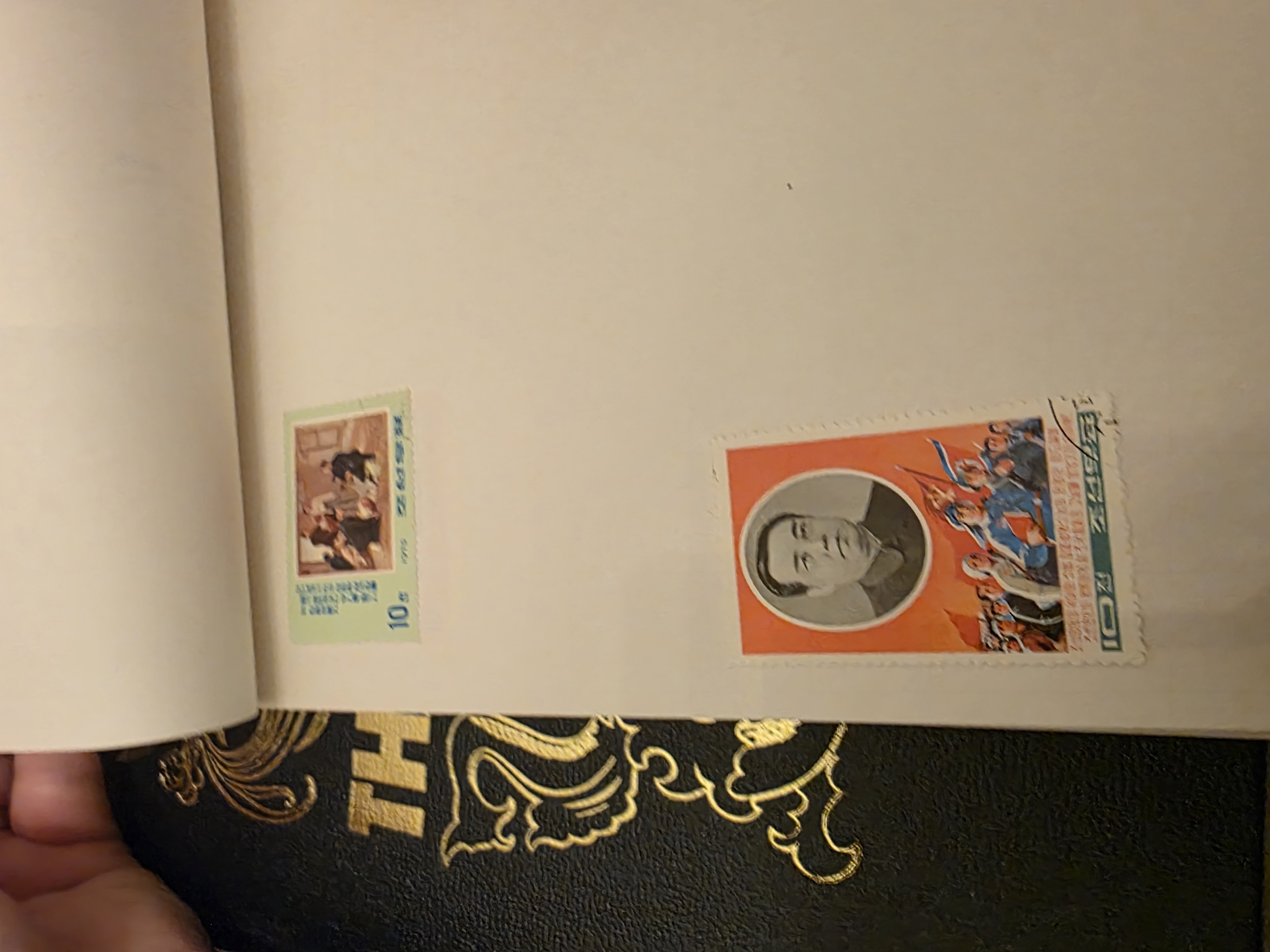 20260323_204242.jpg