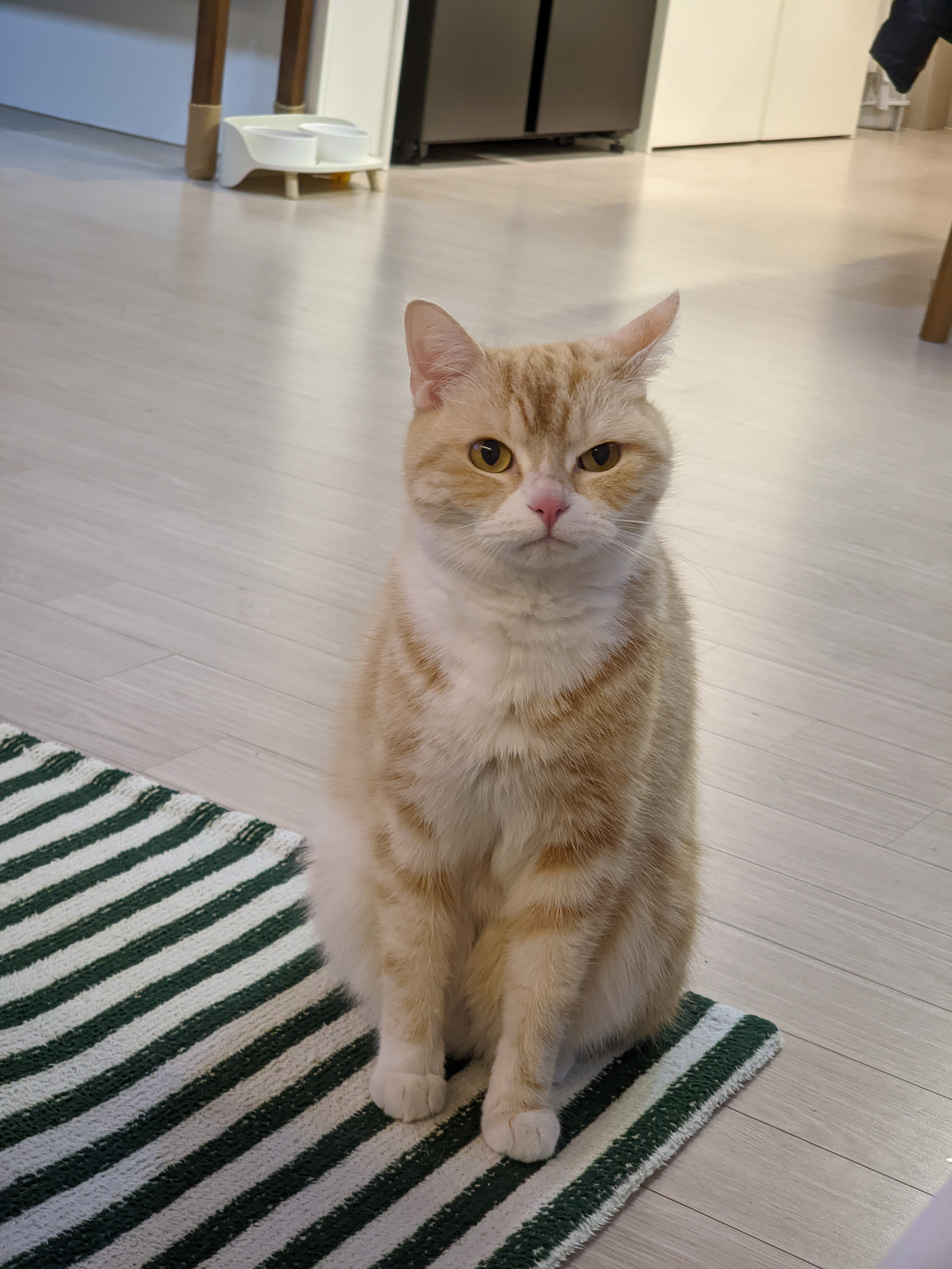 첨부 이미지
