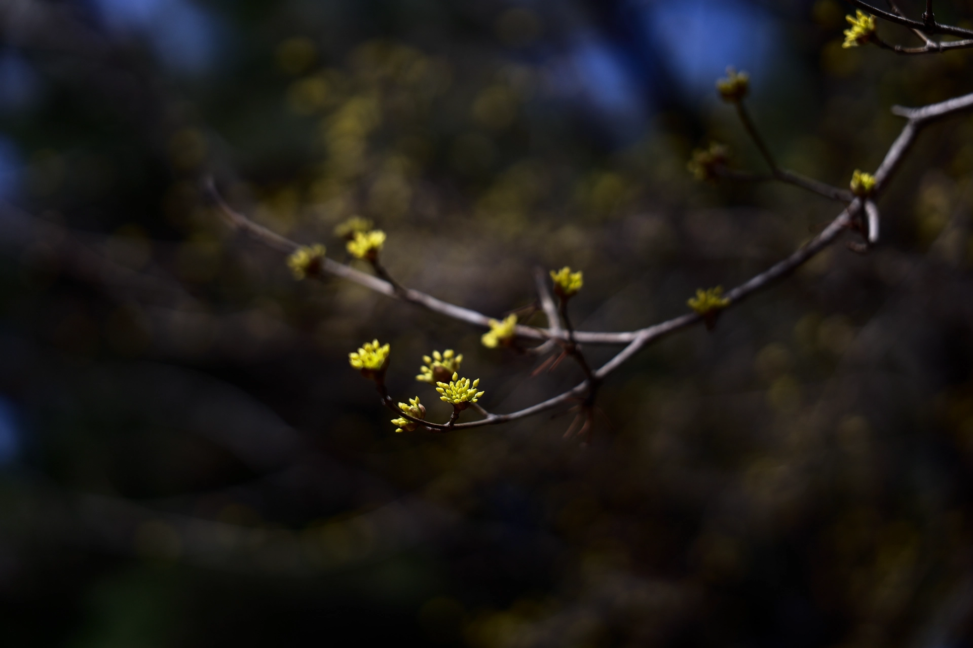 t8kotu_1000043156.webp.webp