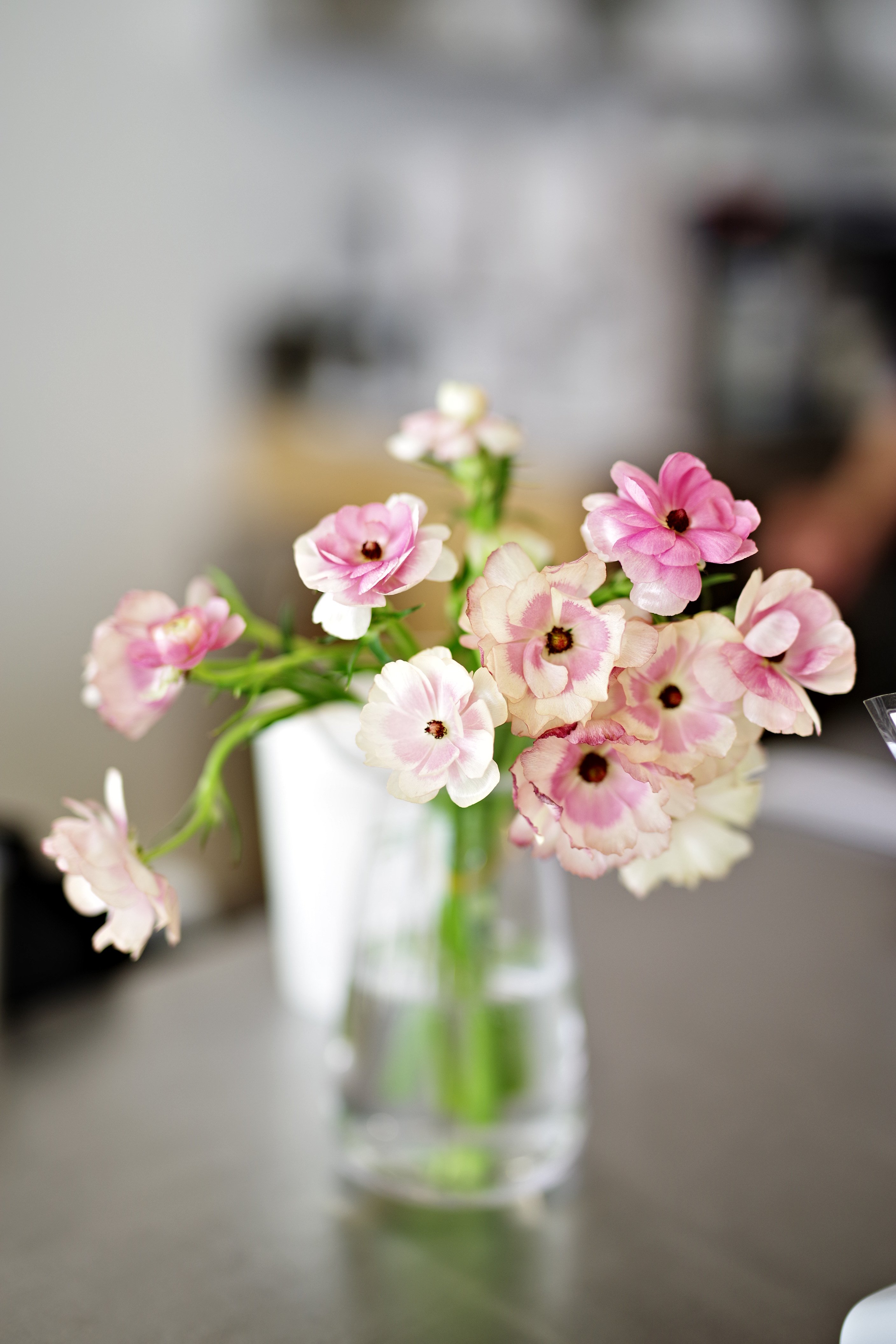 K1__9281.JPG