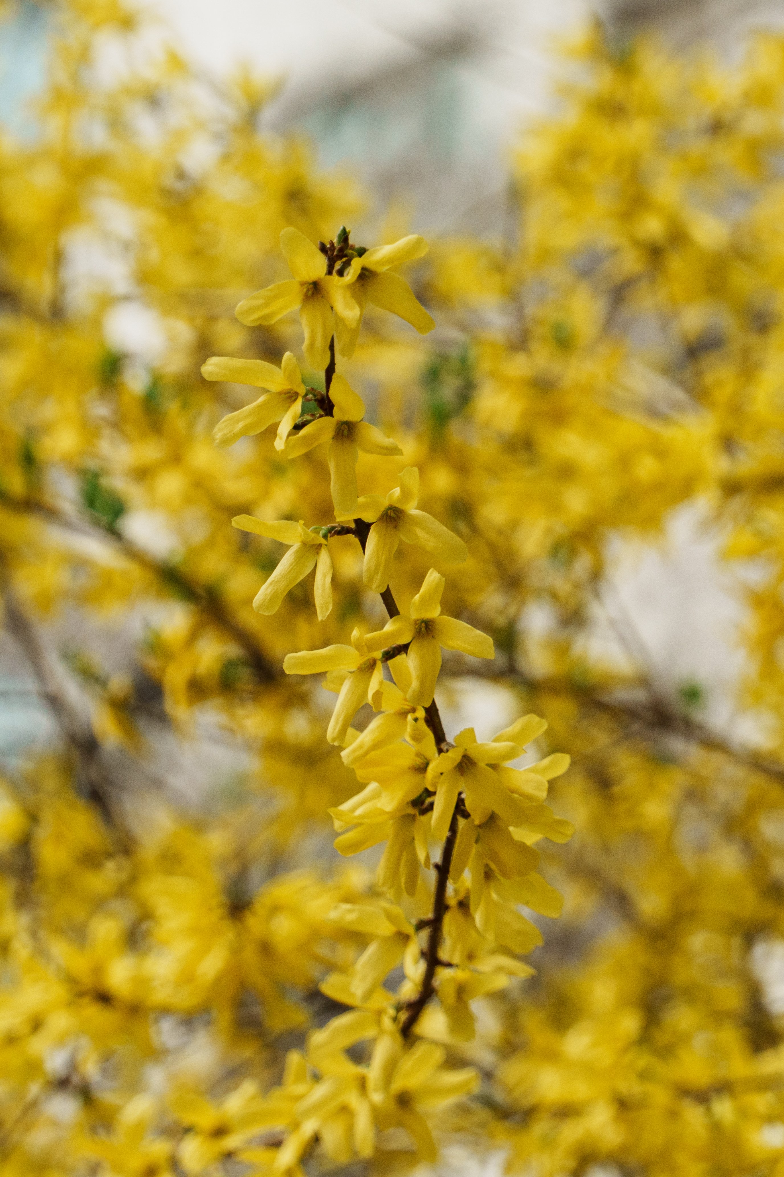 DSC01542.jpg