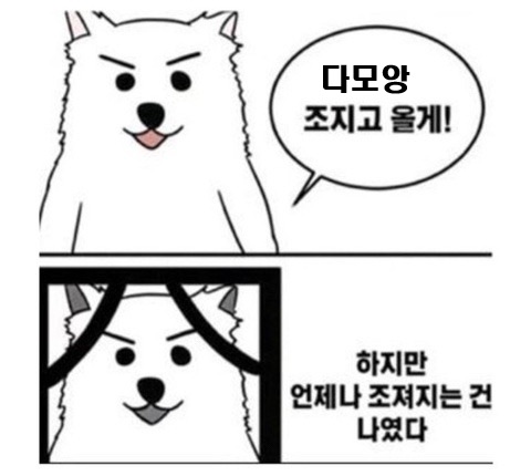 첨부 이미지