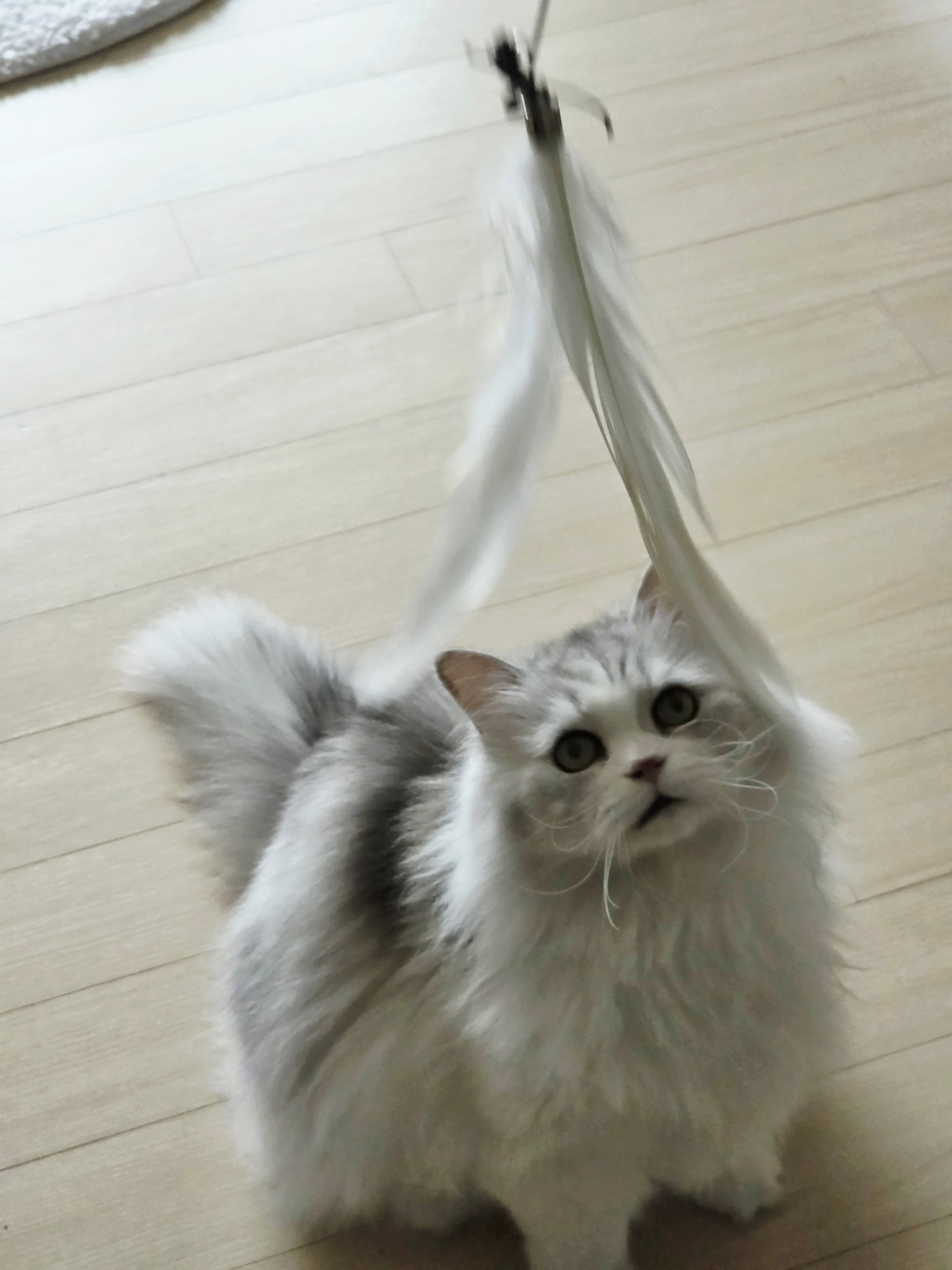 KakaoTalk_20260327_094954664_05.jpg