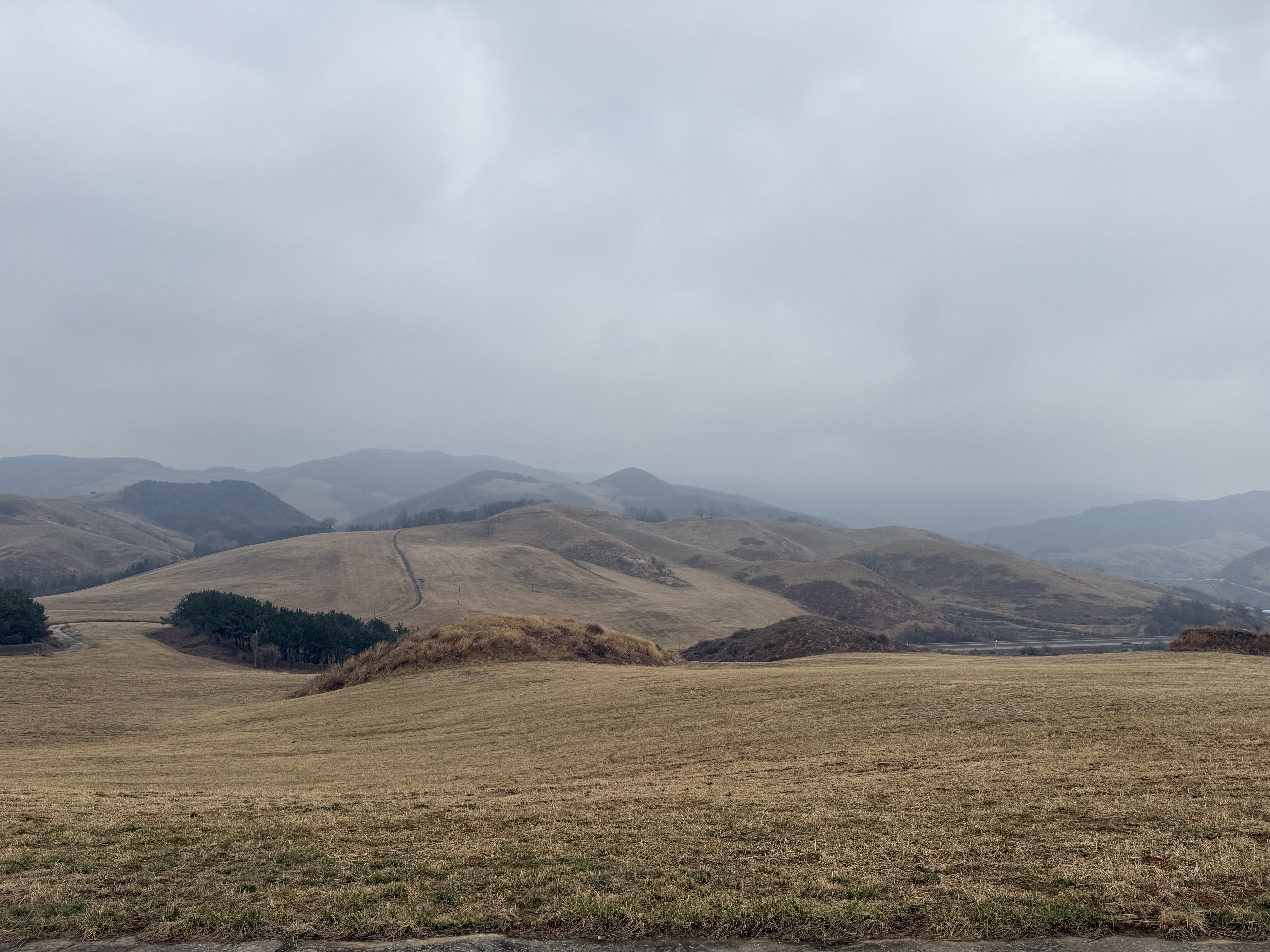 IMG_0767.jpeg