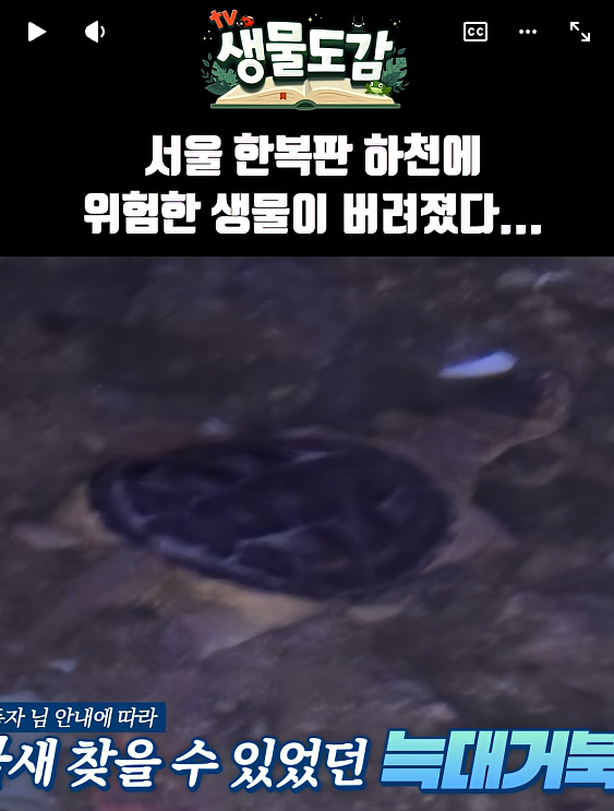 스크린샷 2026-03-17 154112.png