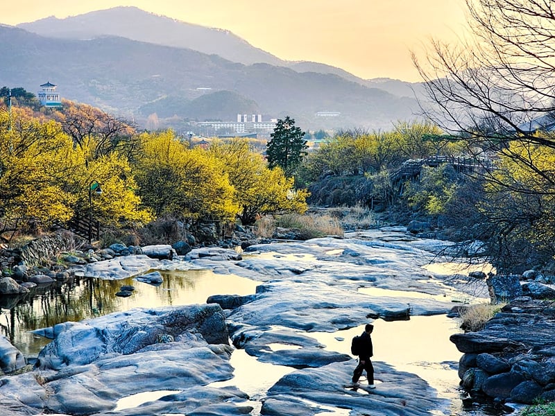 냇가-800.jpg