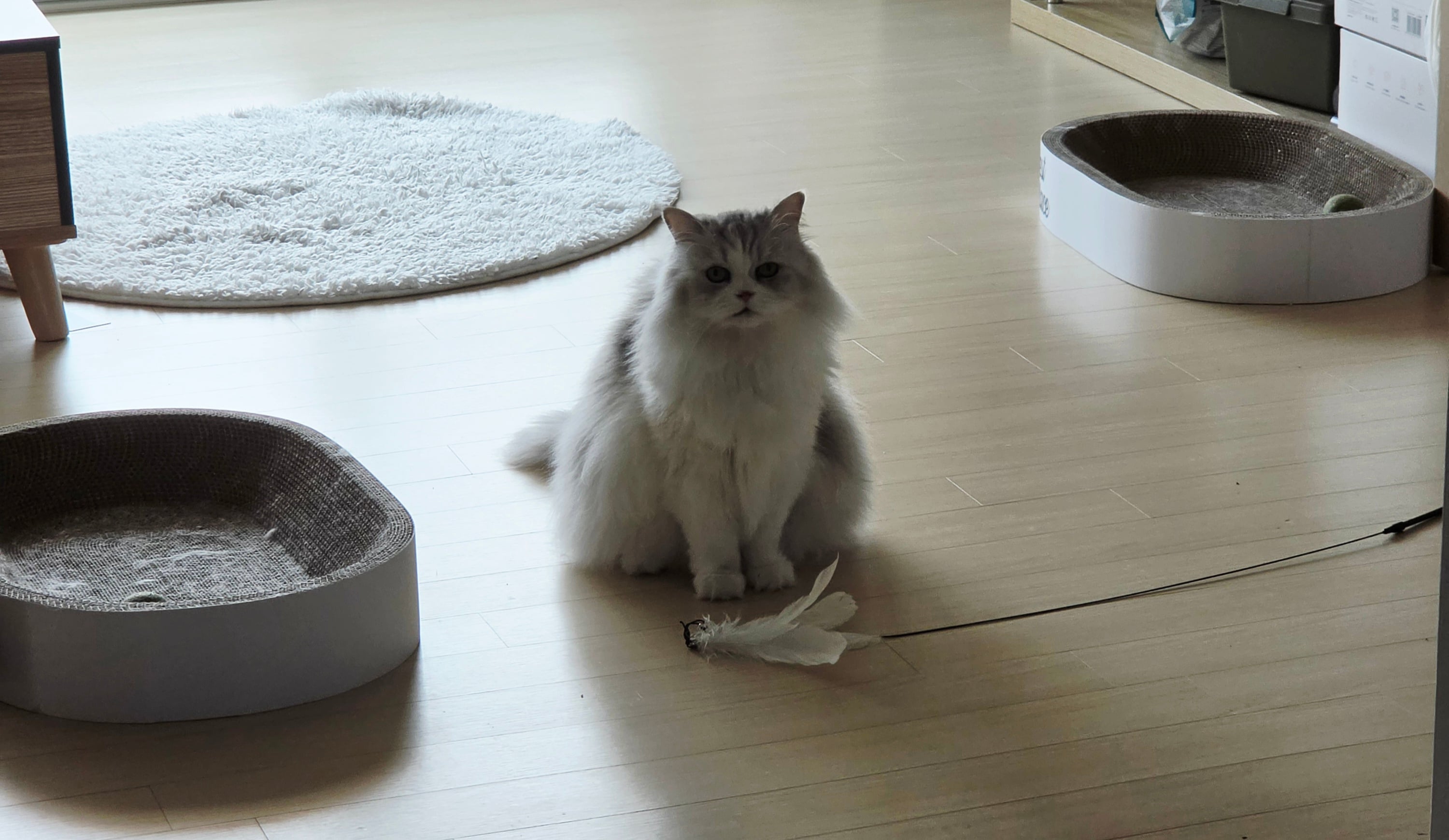 KakaoTalk_20260327_094954664_07.jpg
