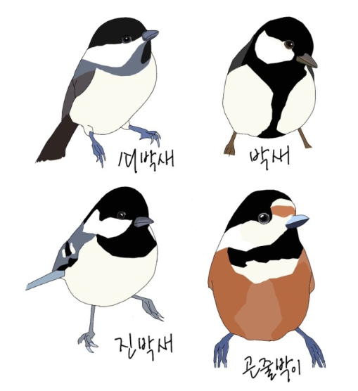 첨부 이미지